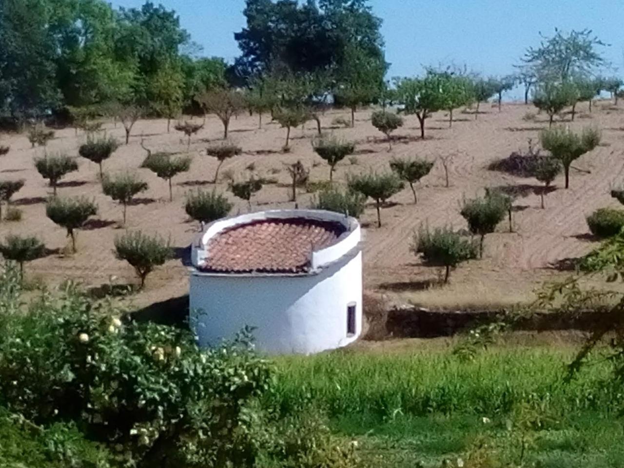 Casa Dos Pombais De Cacarelhos Rural Villa Luaran gambar